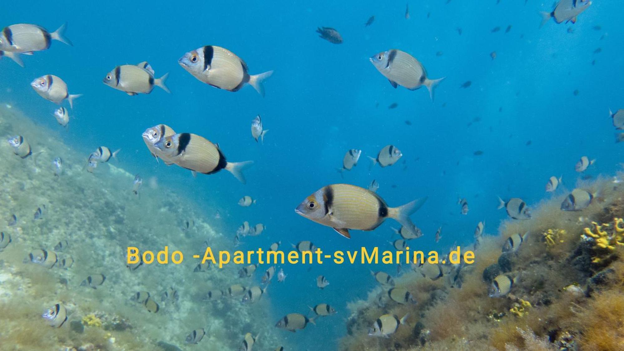 Bodo Apartment 拉宾 外观 照片